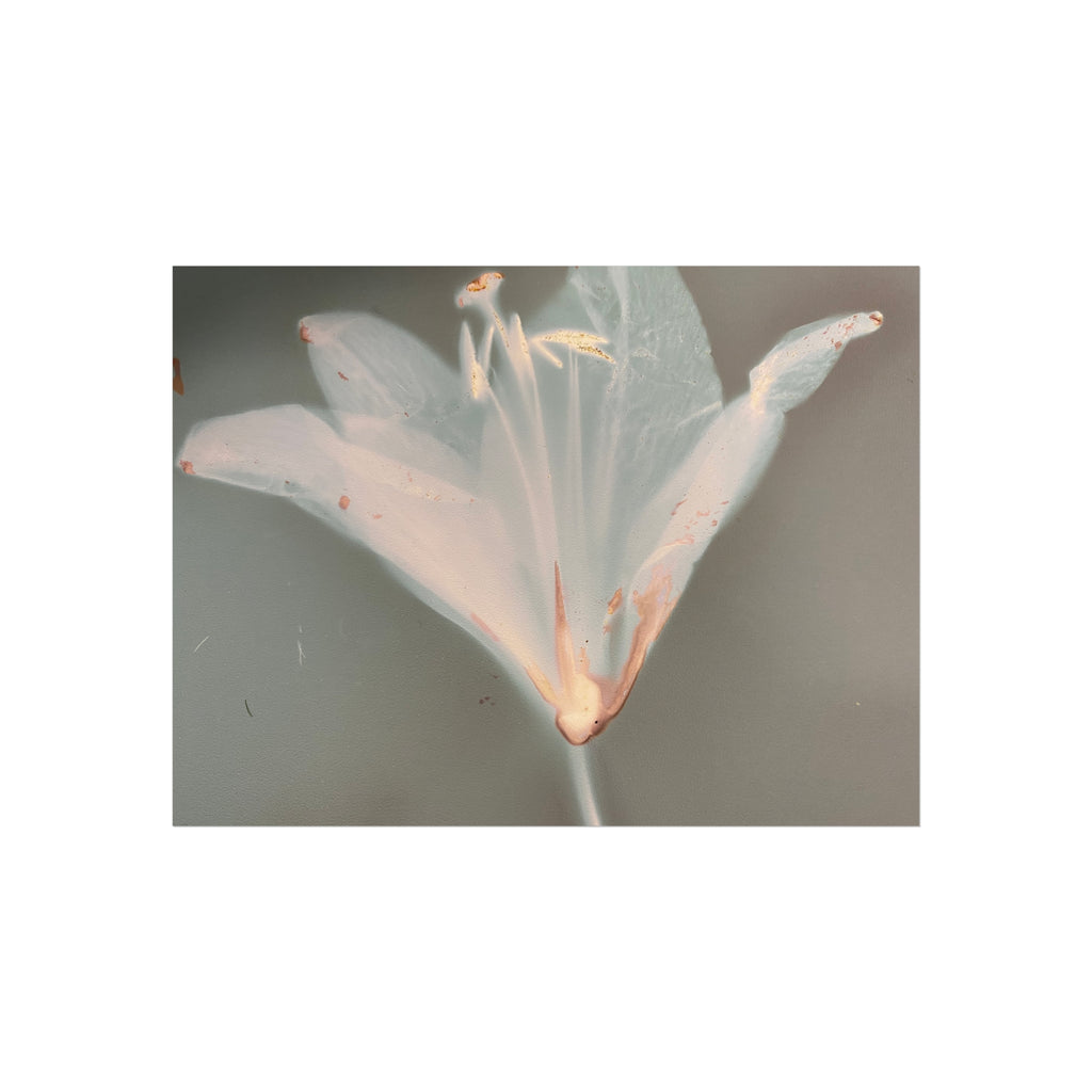 Serene Floral Fine Art Posters, Botanical Wall Art, Home Decor, Gift for Nature Lovers, Minimalist Artwork