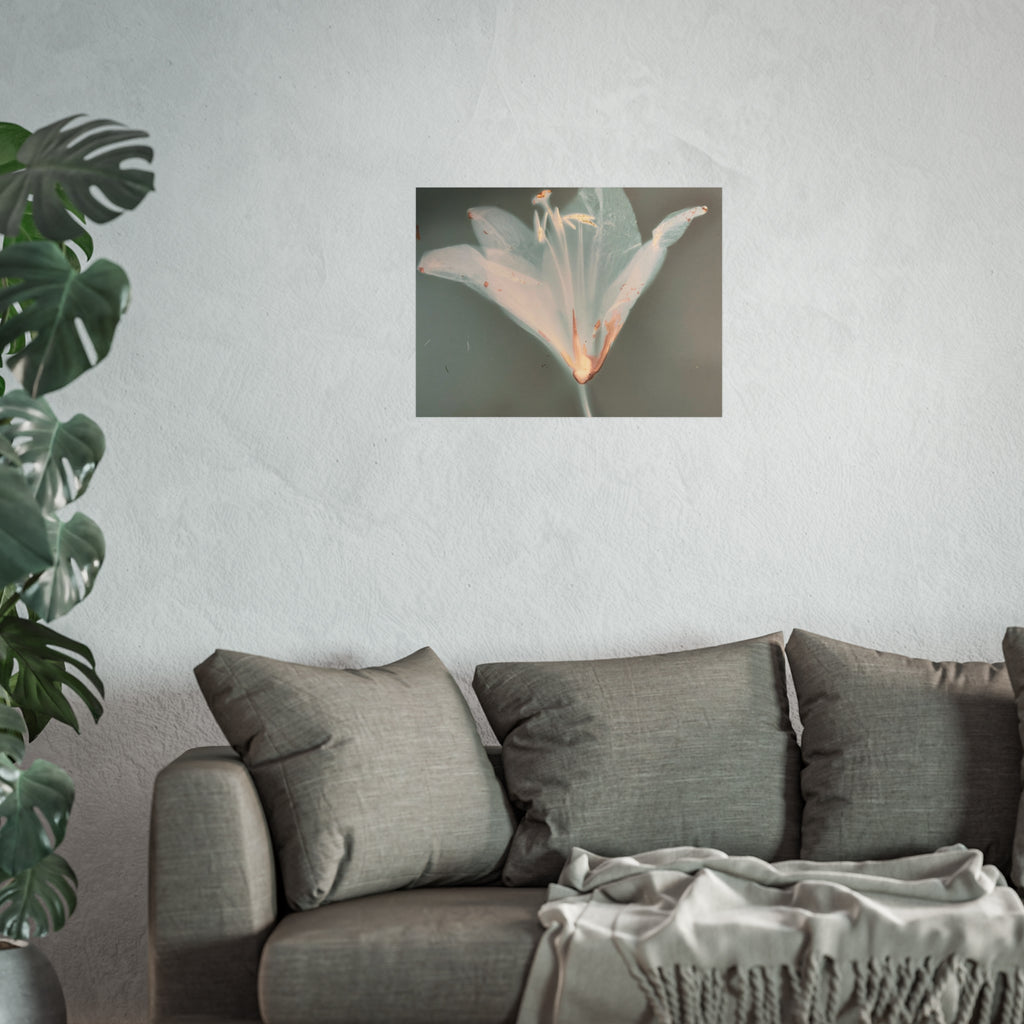 Serene Floral Fine Art Posters, Botanical Wall Art, Home Decor, Gift for Nature Lovers, Minimalist Artwork