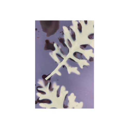 "A Pale Wound of the Sun" Photographic Print