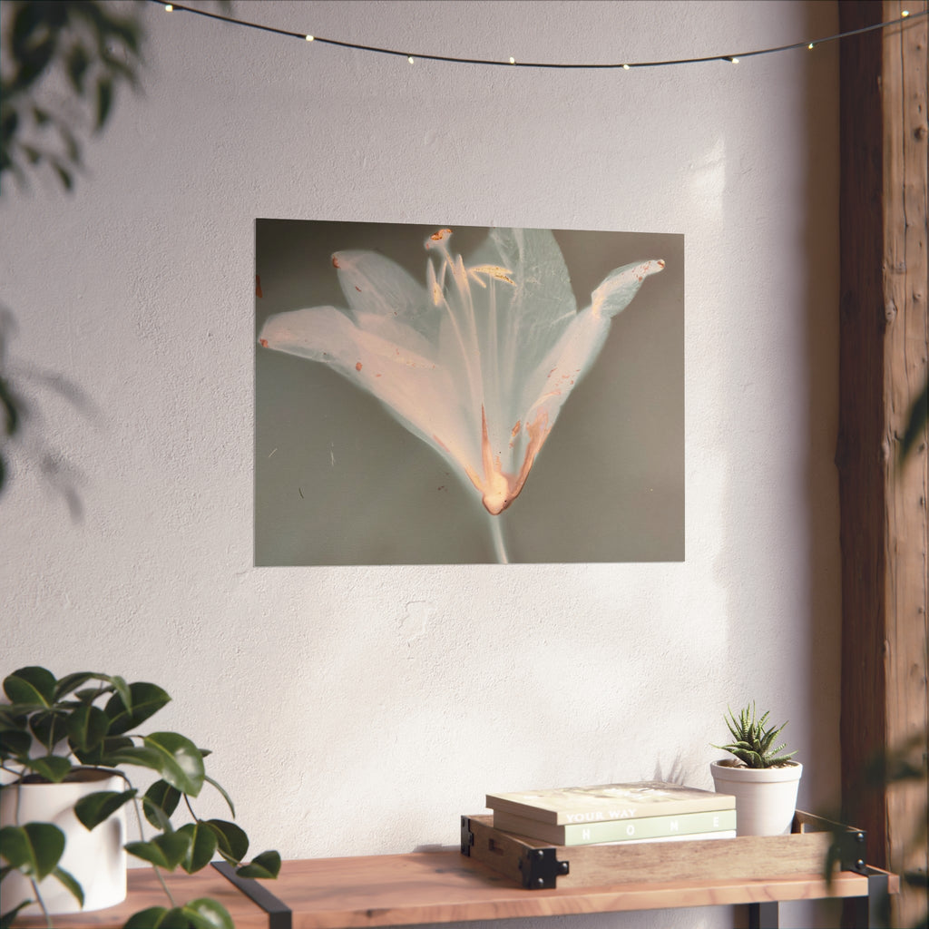 Serene Floral Fine Art Posters, Botanical Wall Art, Home Decor, Gift for Nature Lovers, Minimalist Artwork