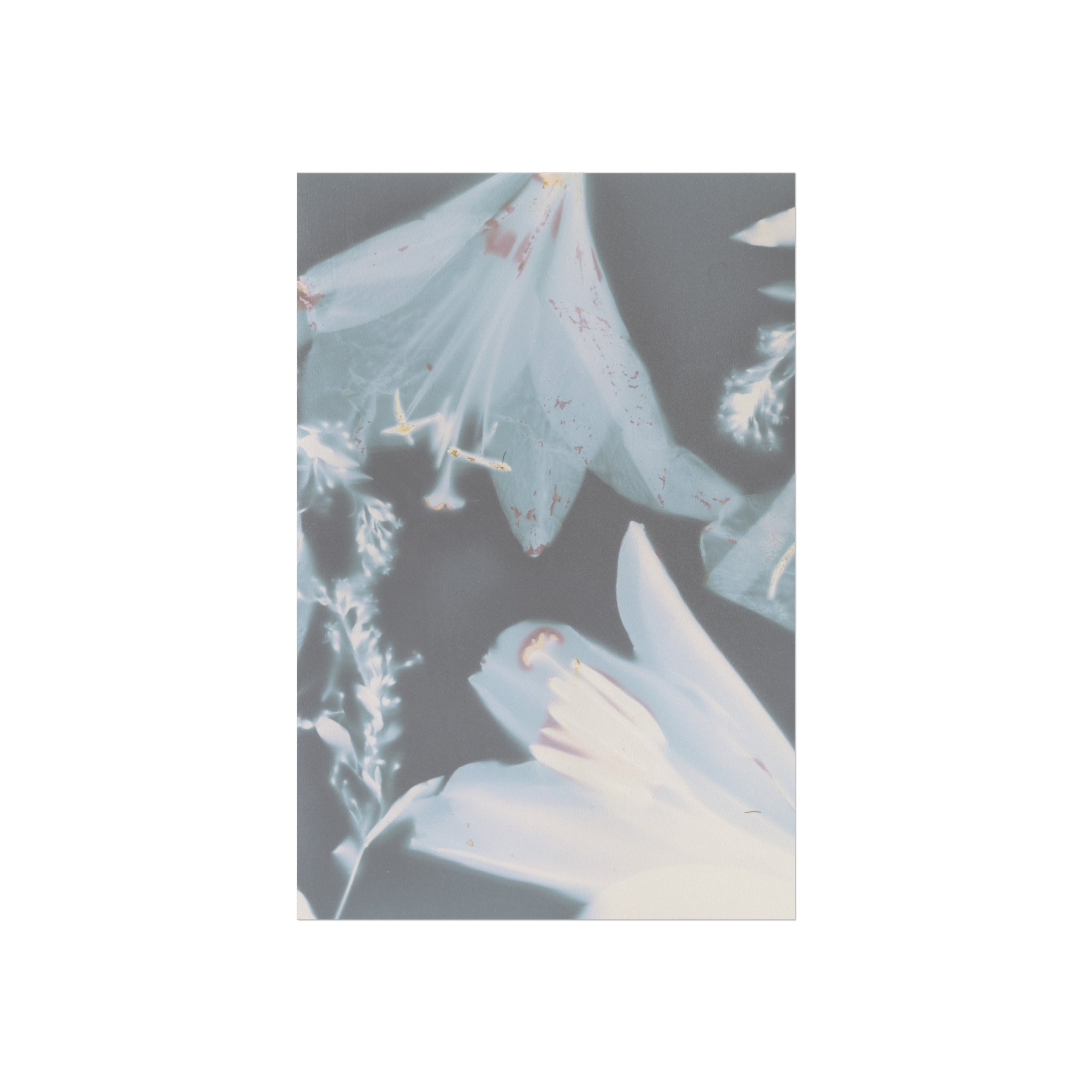Elegant Floral Fine Art Posters for Home Décor, Botanical Wall Art, Gift for Art Lovers, Modern Interior Design, Gallery Wall Prints