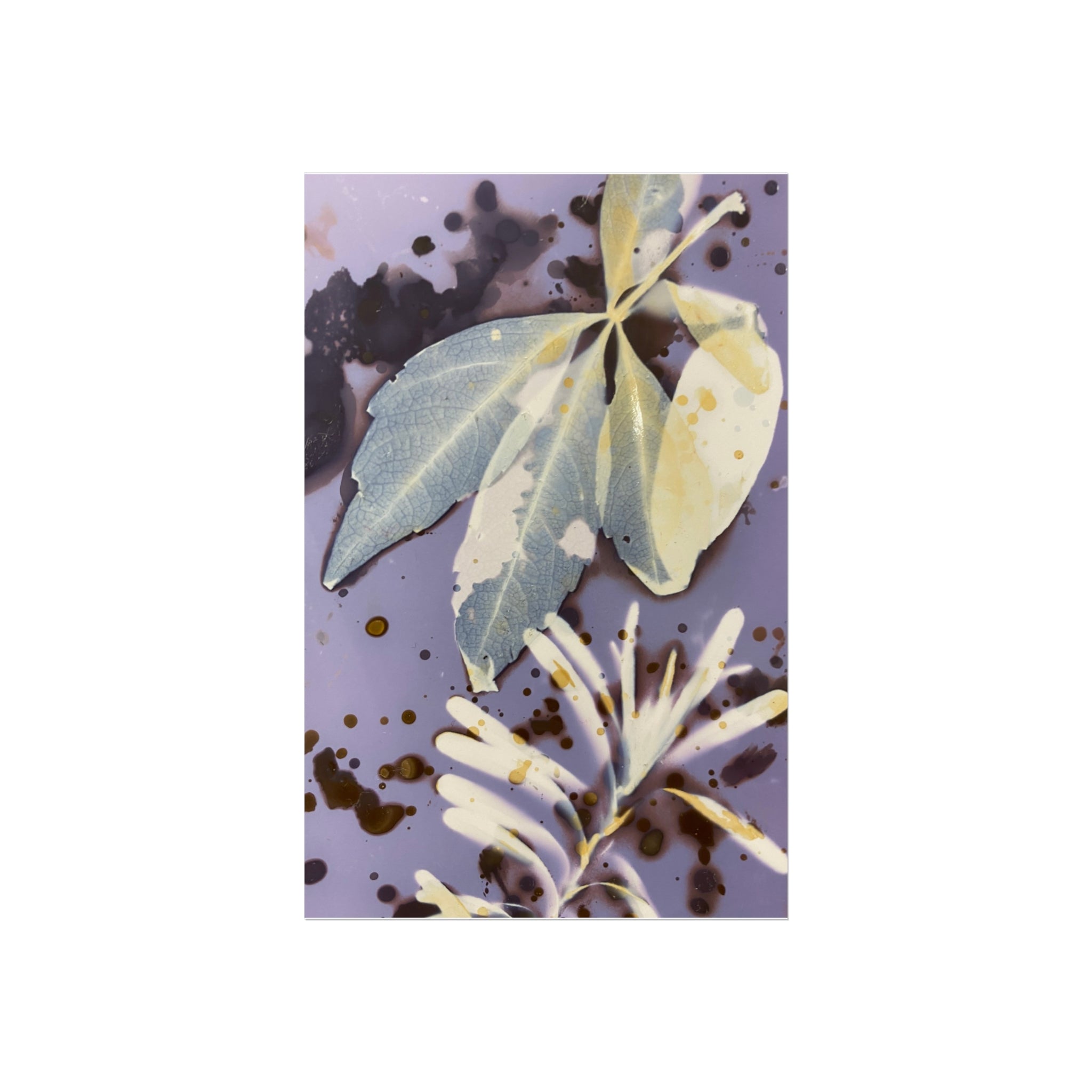 Artistic Floral Fine Art Posters for Elegant Home Decor, Wall Art, Gifts for Nature Lovers, Boho Aesthetic, Floral Decor