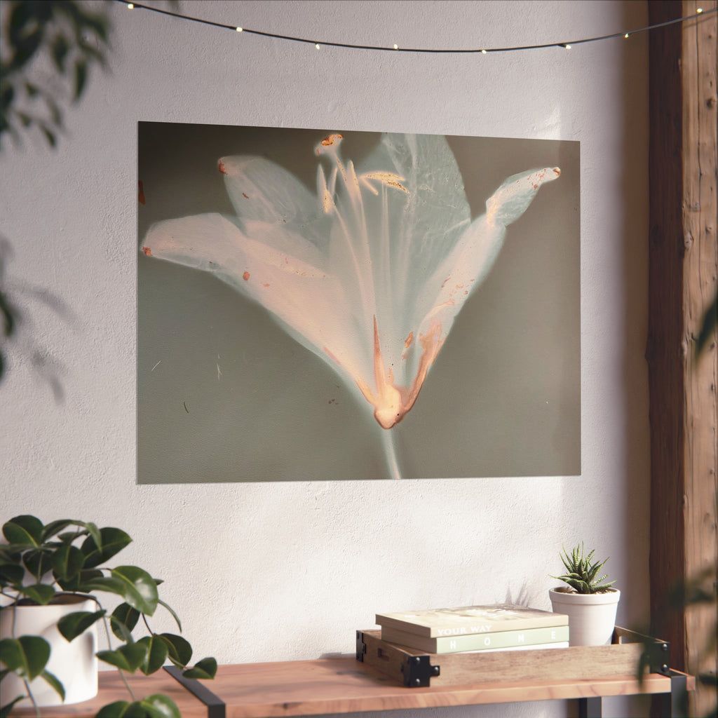 Serene Floral Fine Art Posters, Botanical Wall Art, Home Decor, Gift for Nature Lovers, Minimalist Artwork